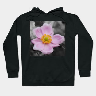 Japanese Anemone Hoodie